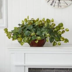 15" Potted Pothos Plant -Michaels D251765S 14