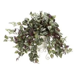 24" Wandering Jew In Metal White Planter