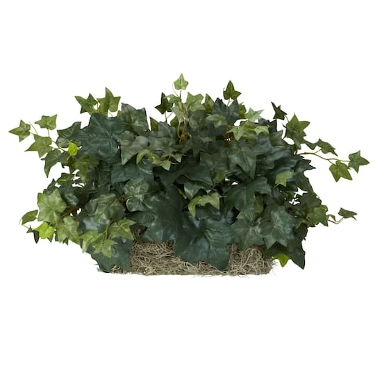 14" Ivy Ledge Plant With Moss 4 14" Ivy Ledge Plant With Moss - Image 2