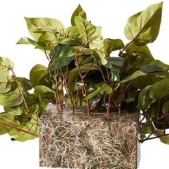 15" Pothos Ledge Plant 9 15" Pothos Ledge Plant -Michaels D251771S 12