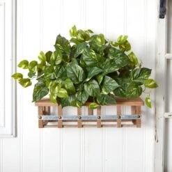15" Pothos Ledge Plant 10 15" Pothos Ledge Plant -Michaels D251771S 15