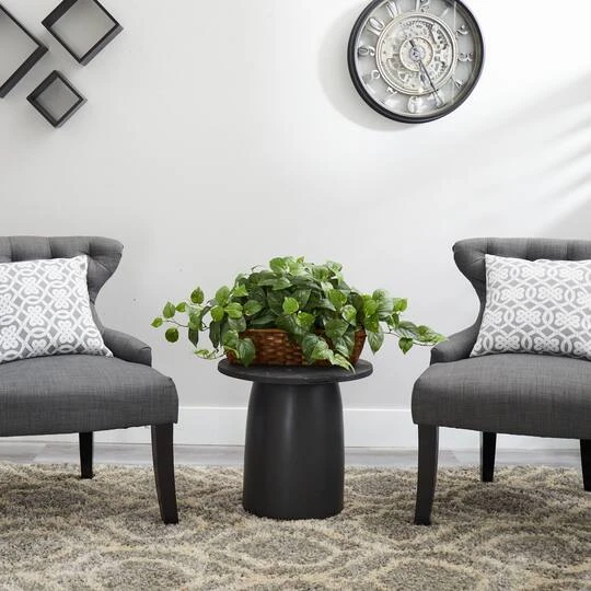 15" Pothos In Ledge Basket 5 15" Pothos In Ledge Basket - Image 3