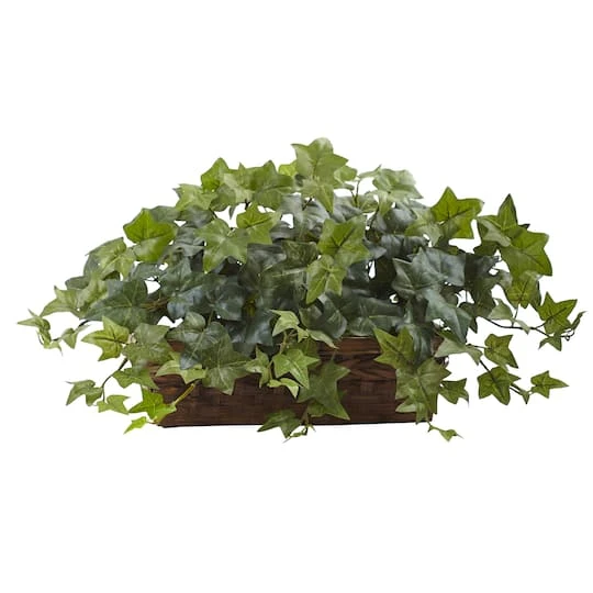 12.5" Puff Ivy In Ledge Basket 3 12.5" Puff Ivy In Ledge Basket