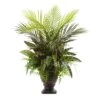 2ft. Mixed Areca Palm, Fern & Peacock In Planter -Michaels D251785S 11