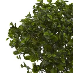 2.5ft. Potted Peperomia Plant 10 2.5ft. Potted Peperomia Plant -Michaels D251786S 12