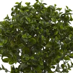 2.5ft. Potted Peperomia Plant 11 2.5ft. Potted Peperomia Plant -Michaels D251786S 13
