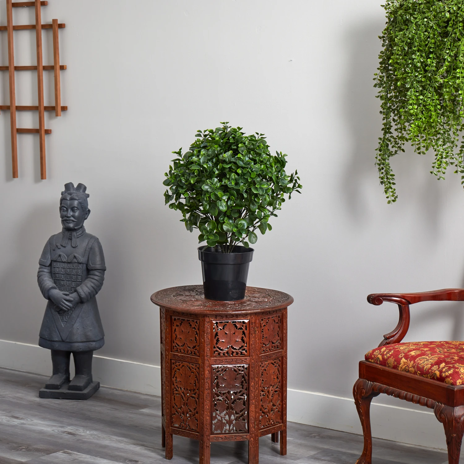 2.5ft. Potted Peperomia Plant 8 2.5ft. Potted Peperomia Plant - Image 6