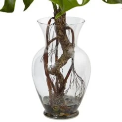 2ft. Monstera Plant In Glass Vase -Michaels D251788S 13