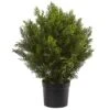 2ft. Potted Cedar Bush 2 2ft. Potted Cedar Bush -Michaels D251789S 11