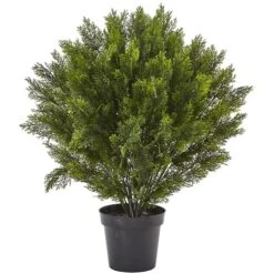 3ft. Potted Cedar Bush