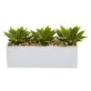 13" Agave Succulent In White Rectangular Planter -Michaels D251793S 11
