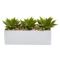 13" Agave Succulent In White Rectangular Planter