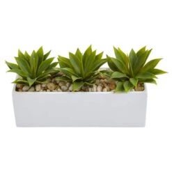 13" Agave Succulent In White Rectangular Planter -Michaels D251793S 12