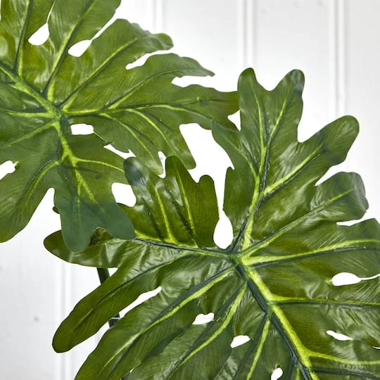 2.5ft. Philodendron Leaves In Cylinder Glass Vase 7 2.5ft. Philodendron Leaves In Cylinder Glass Vase - Image 5