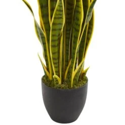 3ft. Potted Snake Plant -Michaels D251798S 13