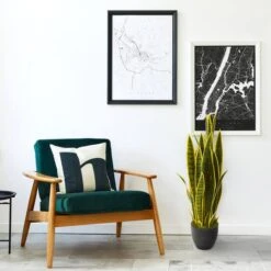 3ft. Potted Snake Plant -Michaels D251798S 14