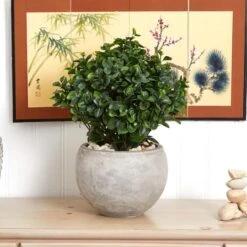 2ft. Eucalyptus Plant In Sand Colored Bowl 12 2ft. Eucalyptus Plant In Sand Colored Bowl -Michaels D251800S 14
