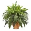 23" Mixed Leaf & Fern Plant In Terra Cotta Planter 2 23" Mixed Leaf & Fern Plant In Terra Cotta Planter -Michaels D251803S 11