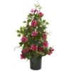 2ft. Potted Bougainvillea Climbing Plant 1 2ft. Potted Bougainvillea Climbing Plant -Michaels D251804S 11