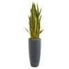 4.5ft. Sansevieria Plant In Gray Planter -Michaels D251811S 11
