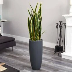 4.5ft. Sansevieria Plant In Gray Planter -Michaels D251811S 12