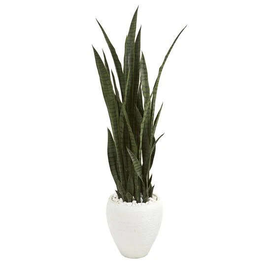 4.25ft. Sansevieria Plant In White Planter 4 4.25ft. Sansevieria Plant In White Planter - Image 2