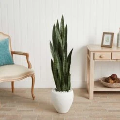4.25ft. Sansevieria Plant In White Planter 8 4.25ft. Sansevieria Plant In White Planter -Michaels D251812S 12