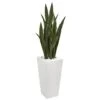 4ft. Sansevieria Plant In White Tower Planter -Michaels D251813S 11