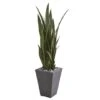 4.75ft. Sansevieria Plant In Slate Planter -Michaels D251814S 1