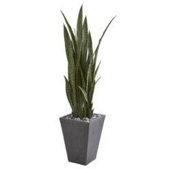 4.75ft. Sansevieria Plant In Slate Planter