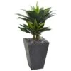 3ft. Double Agave Succulent Plant In Slate Planter -Michaels D251815S 1