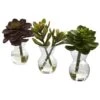 Succulent Arrangements In Vases 3ct. -Michaels D251816S 11