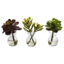 Succulent Arrangements In Vases 3ct. -Michaels D251816S 12