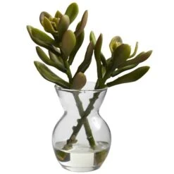Succulent Arrangements In Vases 3ct. -Michaels D251816S 15