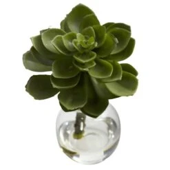 Succulent Arrangements In Vases 3ct. -Michaels D251816S 16