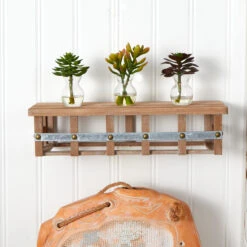 Succulent Arrangements In Vases 3ct. -Michaels D251816S 20