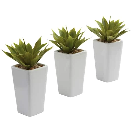 9" Mini Agave Arrangement In White Planter, 3ct. 4 9" Mini Agave Arrangement In White Planter, 3ct. - Image 2