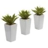 9" Mini Agave Arrangement In White Planter, 3ct. -Michaels D251818S 11
