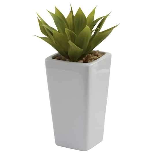 9" Mini Agave Arrangement In White Planter, 3ct. 5 9" Mini Agave Arrangement In White Planter, 3ct. - Image 3