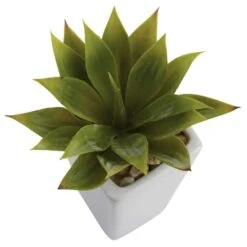 9" Mini Agave Arrangement In White Planter, 3ct. 12 9" Mini Agave Arrangement In White Planter, 3ct. -Michaels D251818S 13
