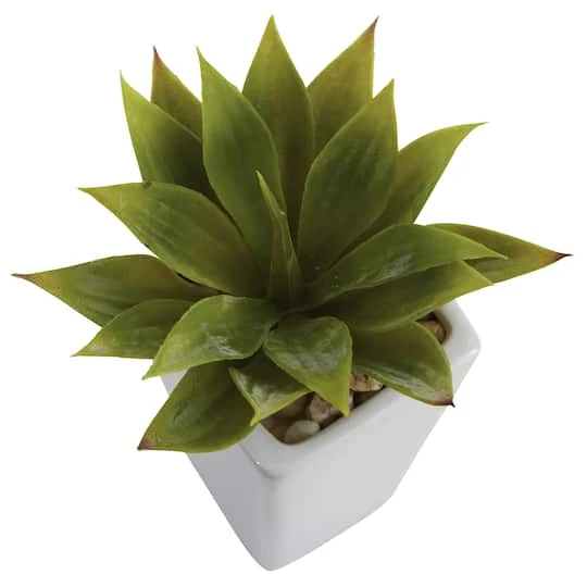 9" Mini Agave Arrangement In White Planter, 3ct. 6 9" Mini Agave Arrangement In White Planter, 3ct. - Image 4