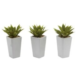 9" Mini Agave Arrangement In White Planter, 3ct. 13 9" Mini Agave Arrangement In White Planter, 3ct. -Michaels D251818S 14