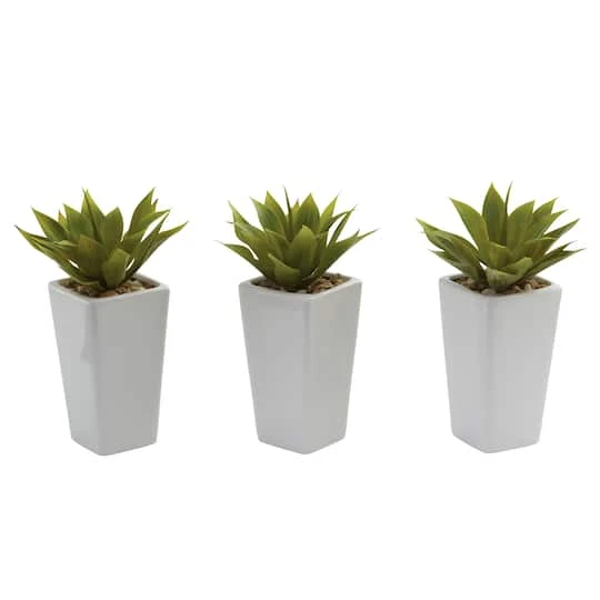 9" Mini Agave Arrangement In White Planter, 3ct. 7 9" Mini Agave Arrangement In White Planter, 3ct. - Image 5