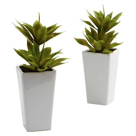 11.5" Double Mini Agave Arrangement With Planter, 2ct. 3 11.5" Double Mini Agave Arrangement With Planter, 2ct.