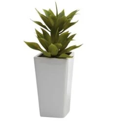 11.5" Double Mini Agave Arrangement With Planter, 2ct. 10 11.5" Double Mini Agave Arrangement With Planter, 2ct. -Michaels D251820S 12