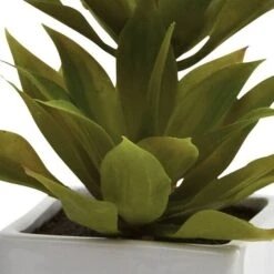 11.5" Double Mini Agave Arrangement With Planter, 2ct. 11 11.5" Double Mini Agave Arrangement With Planter, 2ct. -Michaels D251820S 13