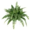 15" Boston Fern, 2ct. -Michaels D251821S 11