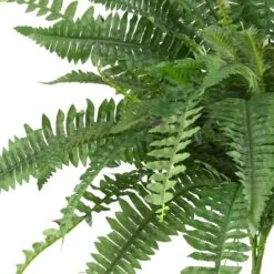 15" Boston Fern, 2ct. -Michaels D251821S 12