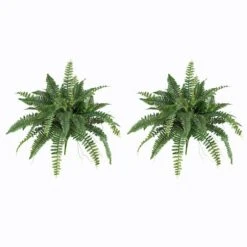 15" Boston Fern, 2ct. -Michaels D251821S 13