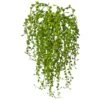 15" Senecio Succulent, 3ct. -Michaels D251825S 1